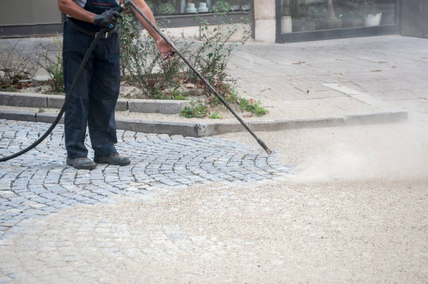 Best Roof Washing  in Tyler, MN